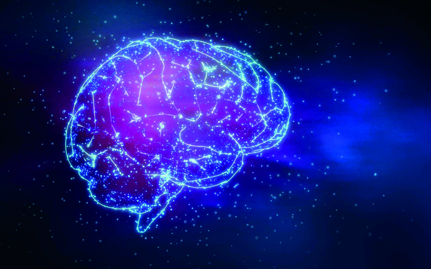 Brain 1
